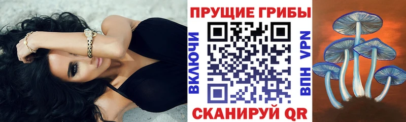 Псилоцибиновые грибы GOLDEN TEACHER  Саранск 